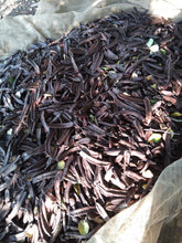 Load image into Gallery viewer, 1Kg Natural Untreated Carobs - Season 2024