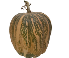 Carica l'immagine nel visualizzatore di Gallery, Zucca Moscata di Provenza
