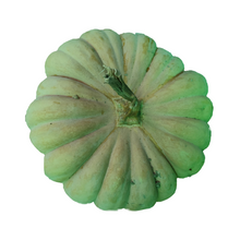 Carica l'immagine nel visualizzatore di Gallery, Zucca Moscata di Provenza