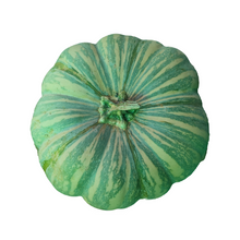 Carica l'immagine nel visualizzatore di Gallery, Zucca Moscata di Provenza