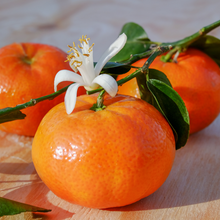 Load image into Gallery viewer, Clementine Seedless First Choice Pack
