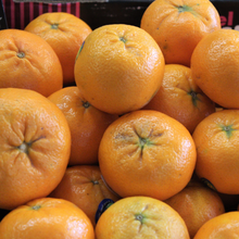 Load image into Gallery viewer, Clementine Seedless First Choice Pack
